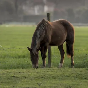  Séjour à la ferme Al Botteniga Italie